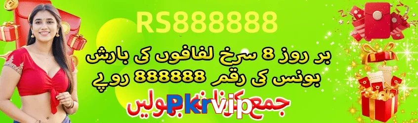 Pkrvip interface sample